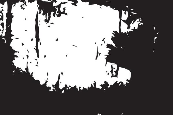 black and white background texture of view form ground in Jungle