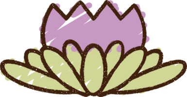 Waterlily Chalk Drawing png