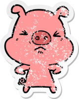 distressed sticker of a cartoon angry pig png