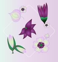 Set of floral botanical leaves, flowers Collage. Illustration, hand drawn vector