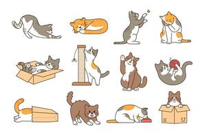 linda y gracioso gato conjunto con diferente poses y comportamiento aislado en blanco antecedentes. jugando, durmiendo, extensión y ocultación en caja vector