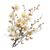 winter jasmijn bloem geïsoleerd Aan transparant achtergrond png