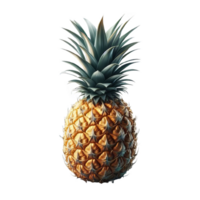 Pineapple fruit isolated on transparent background png