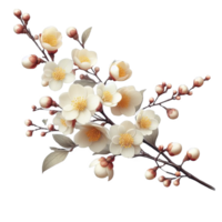 inverno jasmim flor isolado em transparente fundo png