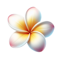 plumeria flor aislado en transparente antecedentes png