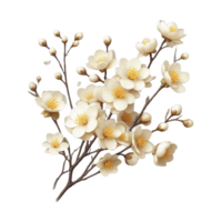 Winter jasmine flower isolated on transparent background png