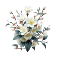 Winter jasmine flower isolated on transparent background png