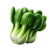 Fresh bok choy isolated on transparent background png
