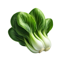 Fresco bok choy aislado en transparente antecedentes png