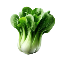 Fresco bok choy aislado en transparente antecedentes png