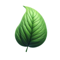 3d green leaf isolated on transparent background png