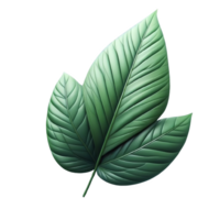 3d green leaf isolated on transparent background png