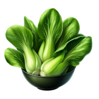 Fresh bok choy isolated on transparent background png