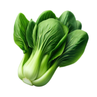 Fresh bok choy isolated on transparent background png