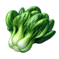 Fresco bok choy aislado en transparente antecedentes png