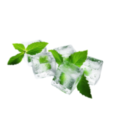 generated ai ice cubes with mint leaves on a transparent background png