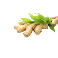 AI-Generated ginger root on transparent background png