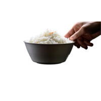 generated ai rice in a bowl on a transparent background png