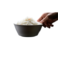 generado ai arroz en un cuenco en un transparente antecedentes png