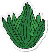 sticker of a quirky hand drawn cartoon lettuce png