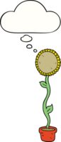 tekenfilm zonnebloem met gedachte bubbel png