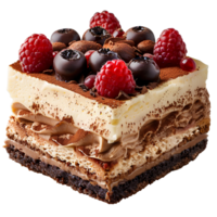 Tiramisu cake. Italian pastry tiramisu with bananas, cacao and cream isolated. Tiramisu flat lay png