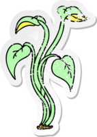 distressed sticker of a quirky hand drawn cartoon plant png
