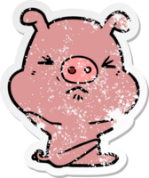 distressed sticker of a cartoon angry pig png