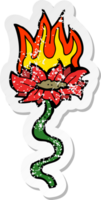 retro distressed sticker of a cartoon flower on fire png