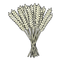 hand textured cartoon wheat png