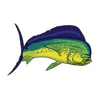 Mahi mahi dorado pescar ilustración logo imagen t camisa vector