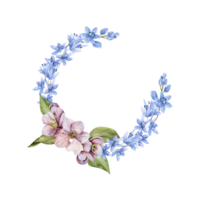 Spring flowers wreath with pink apple blossom and blue first flowers proleski watercolor frame. Floral, botanical arrangement for wedding, invitation, card design. Romantic product packing png