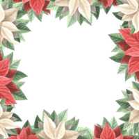 julstjärna blommor med löv. jul ram fyrkant, årgång. hand dragen vattenfärg illustration traditionell växter för vinter- bakgrund. isolerat mall för kort, inbjudan, ny år, skriva ut. png