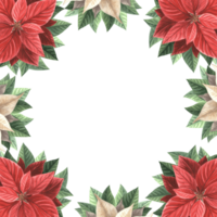 Weihnachtsstern Blumen mit Blätter. Weihnachten Rahmen Quadrat, Jahrgang. Hand gezeichnet Aquarell Illustration traditionell Pflanzen zum Winter Hintergrund. isoliert Vorlage zum Karte, Einladung, Neu Jahr, drucken. png