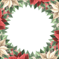 julstjärna blommor med löv. jul ram fyrkant, årgång. hand dragen vattenfärg illustration traditionell växter för vinter- bakgrund. isolerat mall för kort, inbjudan, ny år, skriva ut. png