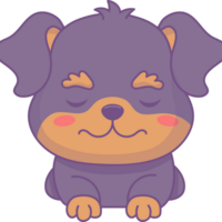 en train de dormir mignonne chien png