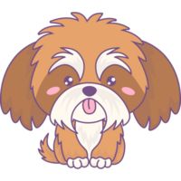 schattig pluizig hond shih tzu png