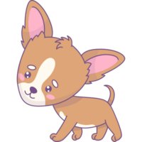 fofa chihuahua cachorro png