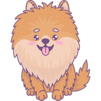 divertente cane spitz png