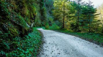 Mountain trail on the Italian Alps photo