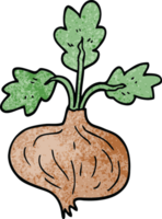 cartoon doodle old onion png