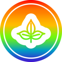 natural leaf circular icon with rainbow gradient finish png