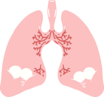 flat color style cartoon lungs png