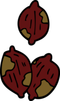 cartoon doodle nuts in shells png