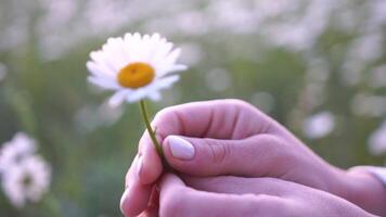 een vrouw is Holding een wit bloem in haar hand- video