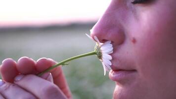 ein Frau ist riechen ein Blume video