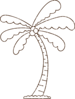 Palm Tree Charcoal Drawing png