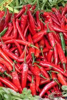 Exhibición de chile rojo a la venta en el mercado minorista de Singapur foto