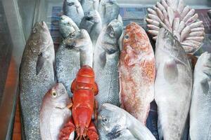 fresh fish in ice at local market shop photo