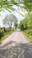 Visualizza di un' nazione strada con molti alberi su il lato a partire dal un' in movimento bicicletta. video